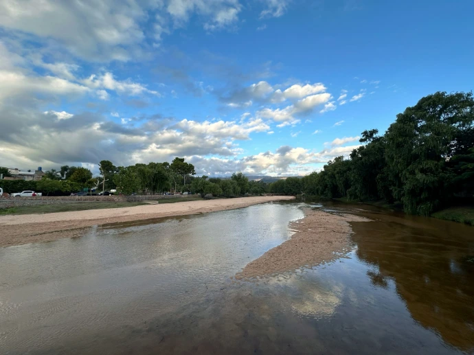 a river running through a lush green forest